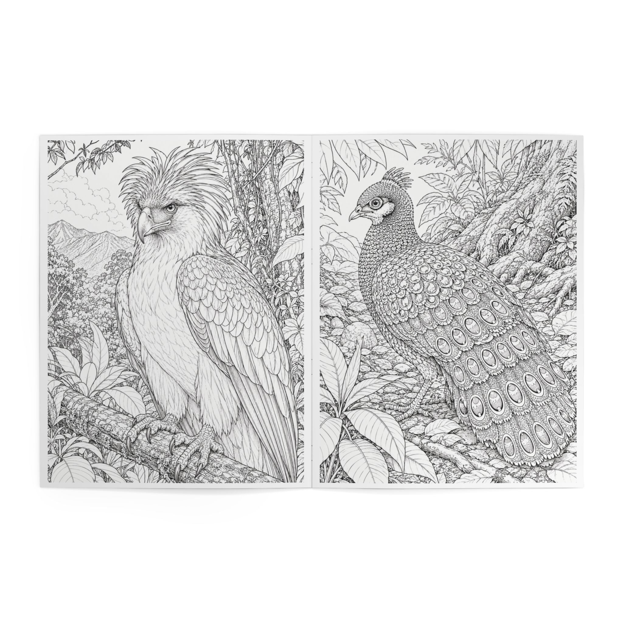 Birds Coloring Book — 24 Pages