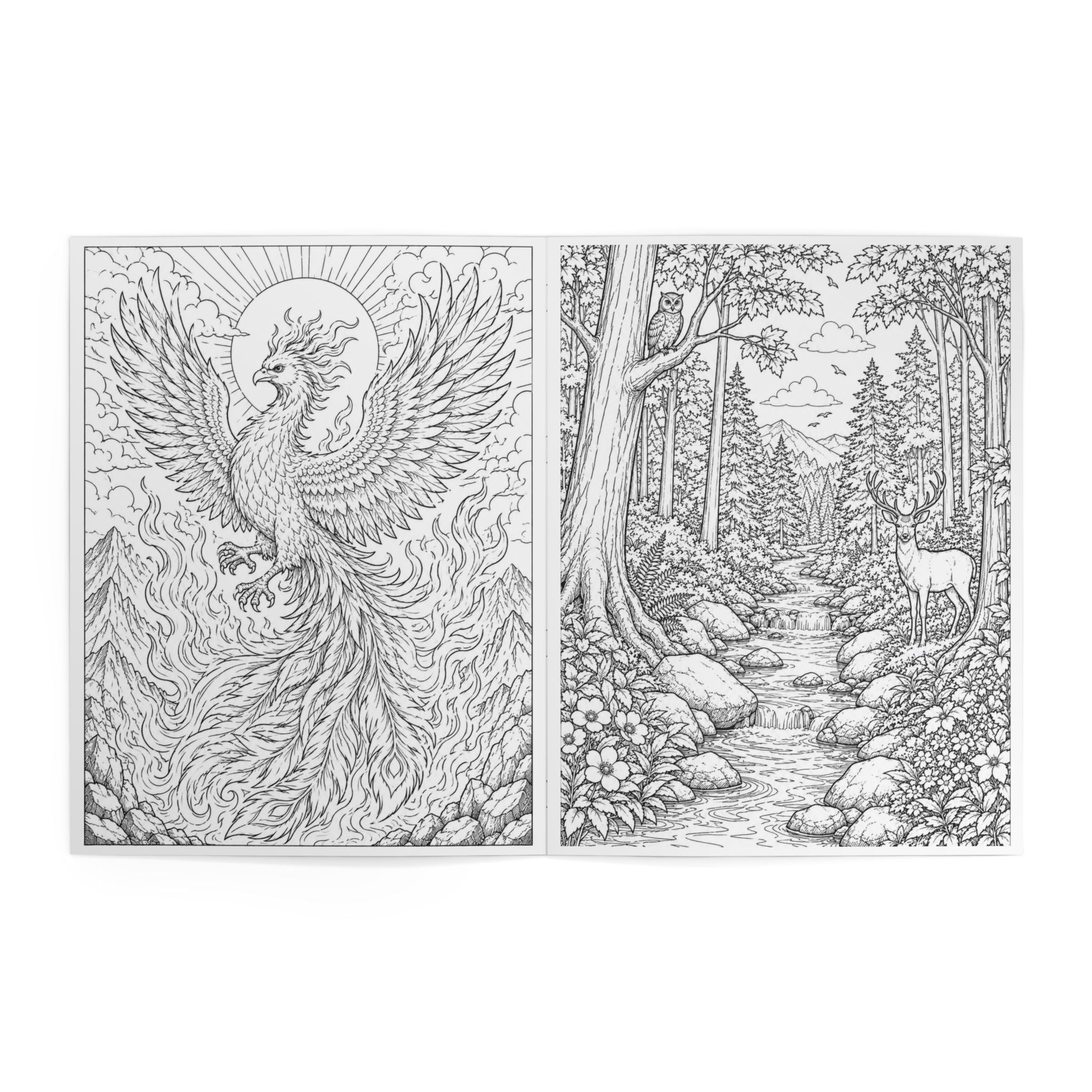 Adult Coloring Book -24 Pages