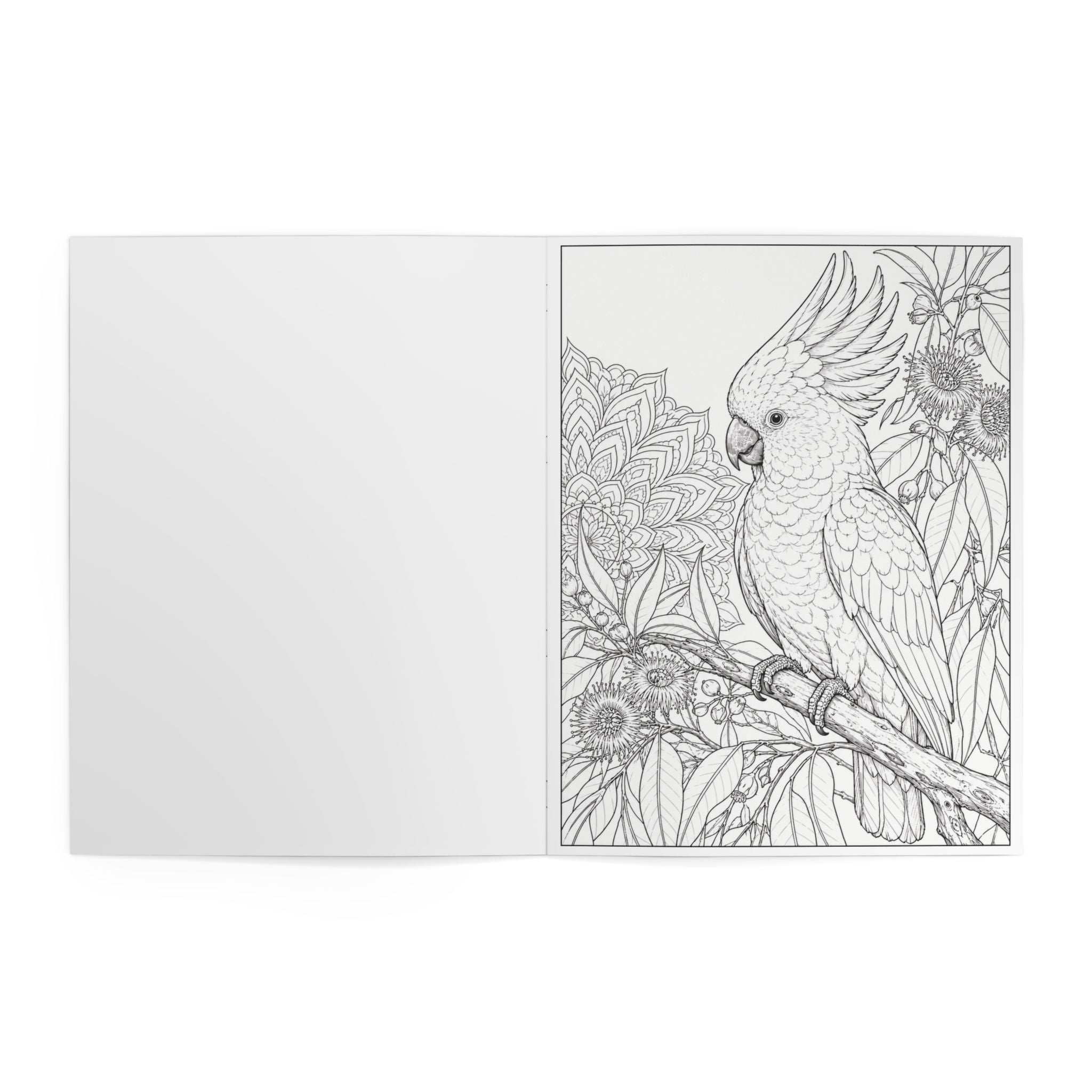 Birds Coloring Book — 24 Pages