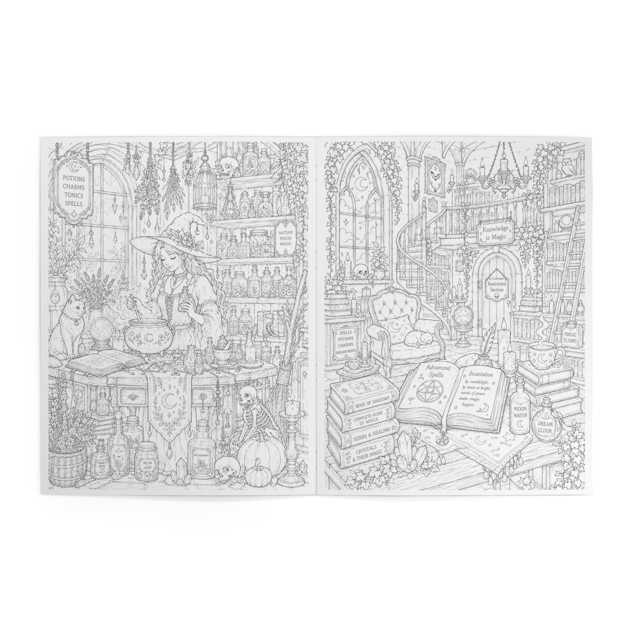 Halloween Kingdom Coloring Book - 24 Pages